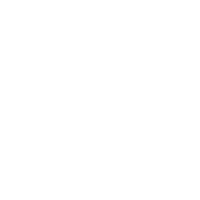 شفانگر نظری